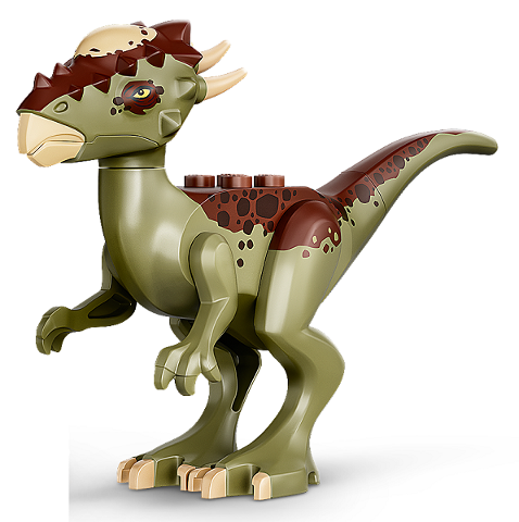 Stygimoloch with Reddish Brown Back and Dark Brown Spots