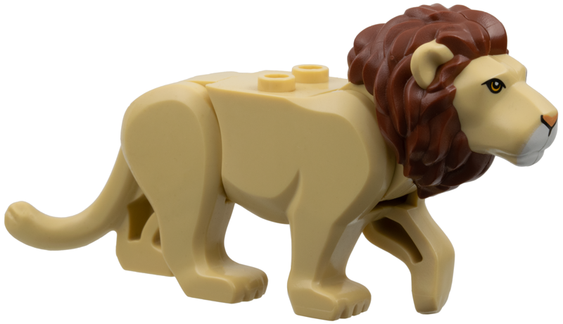 Cat, Large (Lion) with Reddish Brown Mane, Nougat Eyes, Nougat Nose and White Muzzle Pattern