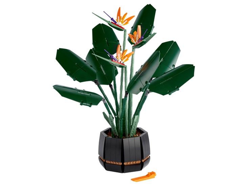 LEGO® 10289 Bird of Paradise Used Set