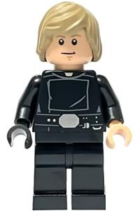 Luke Skywalker - Jedi Master, Shaggy Hair