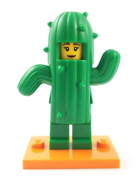 Series 18 - Cactus Girl