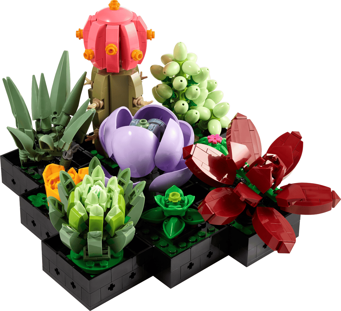 10309 LEGO® Succulents Certified Used Set