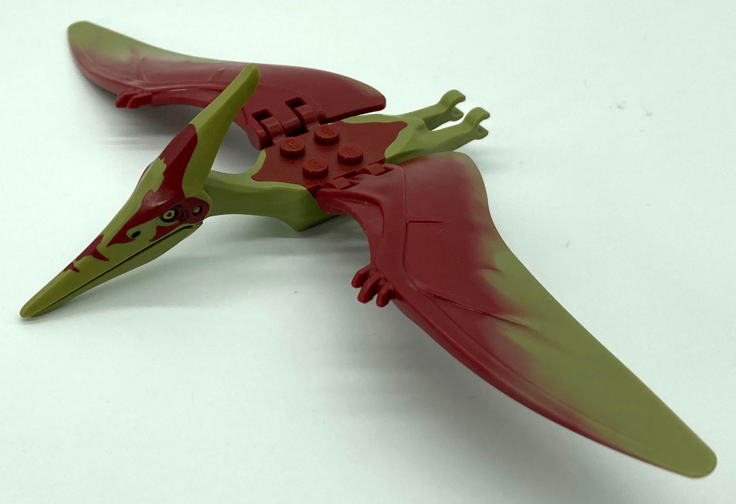 Dinosaur Pteranodon