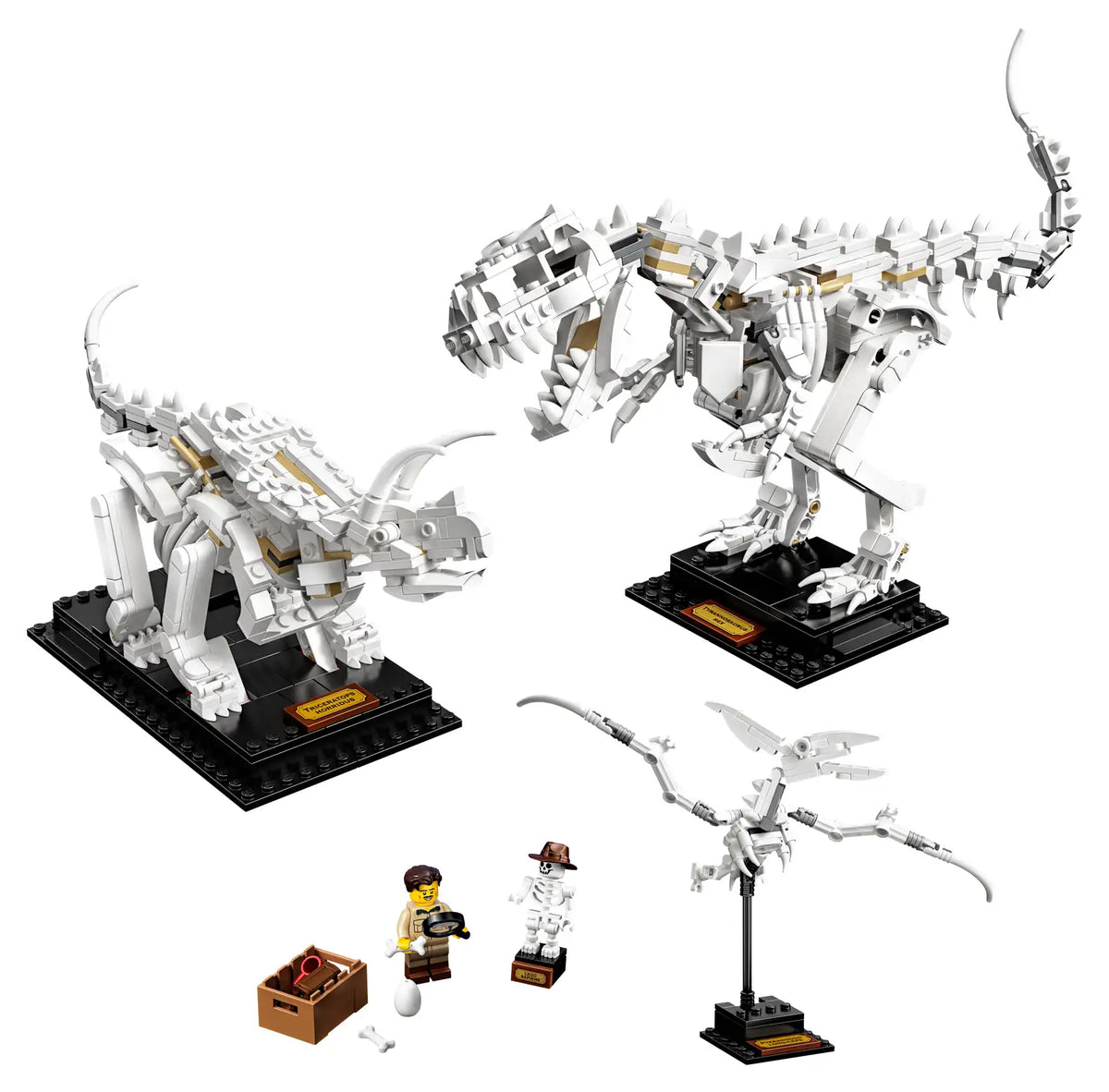 21320 LEGO® Dinosaur Fossils