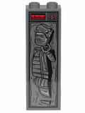 Human in Carbonite