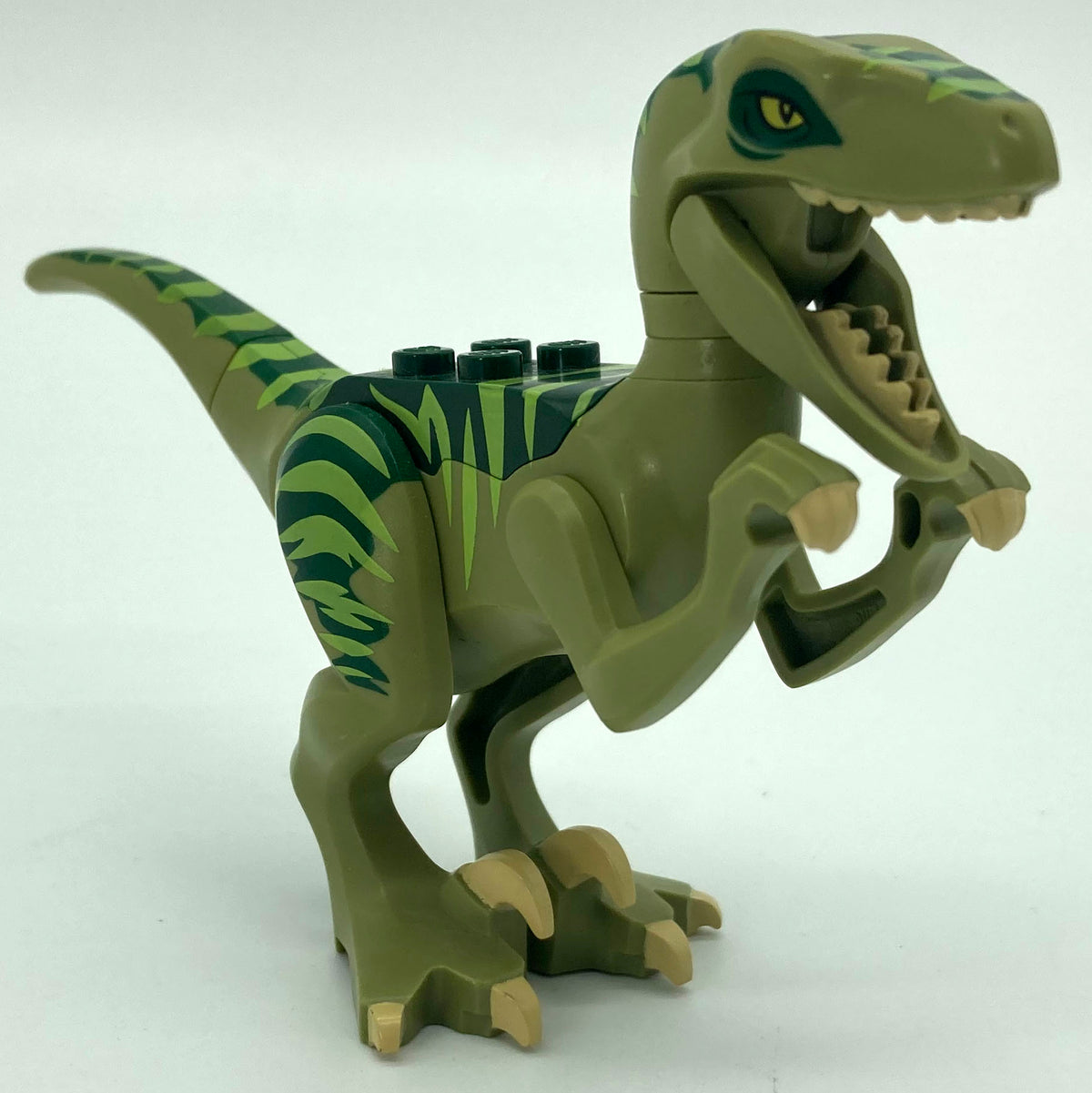 Dinosaur Raptor/Velociraptor with Dark Green Back, Lime Markings and Tan Claws