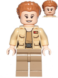Lieutenant Connix