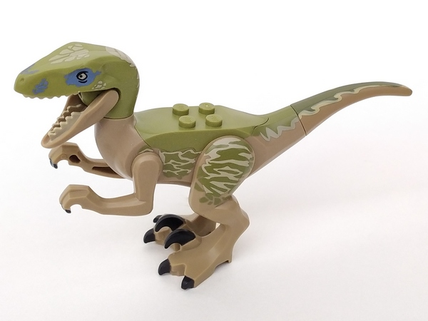 Raptor/Velociraptor with Olive Green Back and Tan Markings