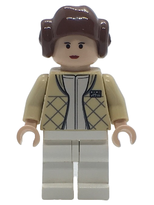 Princess Leia - Hoth Outfit, Smooth Hair with Buns