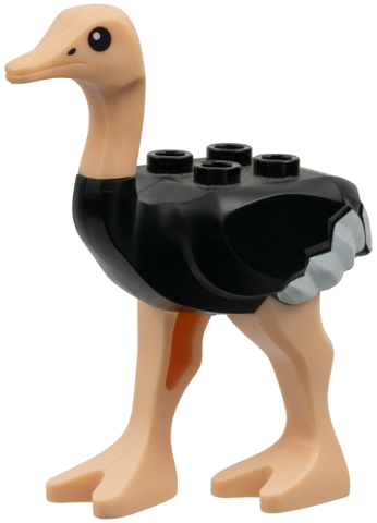 Ostrich with Light Nougat Legs and Head, White Tail and Wingtips Patte ...