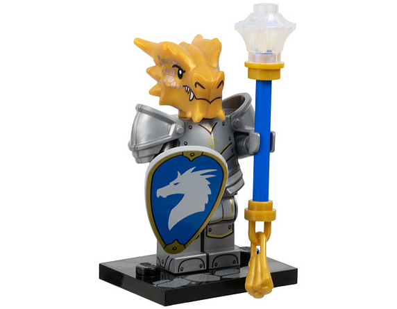 Dragonborn Paladin