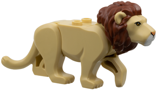 Cat, Large (Lion) with Reddish Brown Mane, Nougat Eyes, Nougat Nose and White Muzzle Pattern