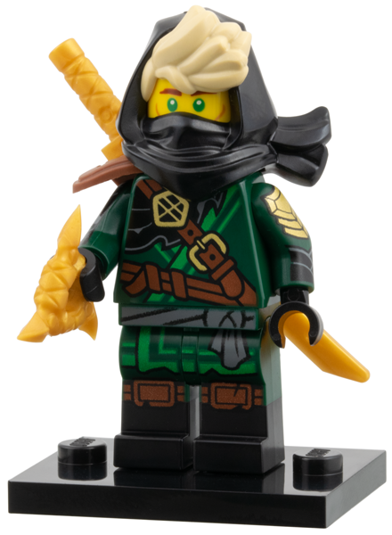 Series 29 - Mysterious Ronin