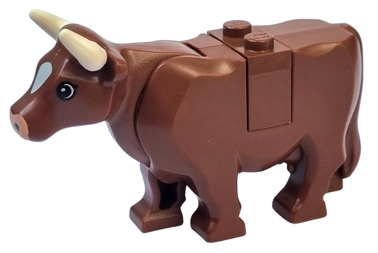 Reddish Brown Cow with Light Nougat Muzzle and White Spot on Head Pattern with Short Horns (Plate on Top)