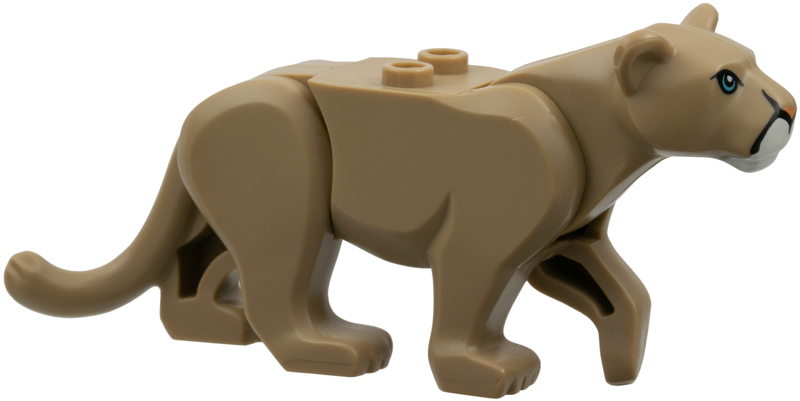 Cat, Large (Mountain Lion) with White Muzzle, Medium Azure Eyes and Nougat Nose Pattern