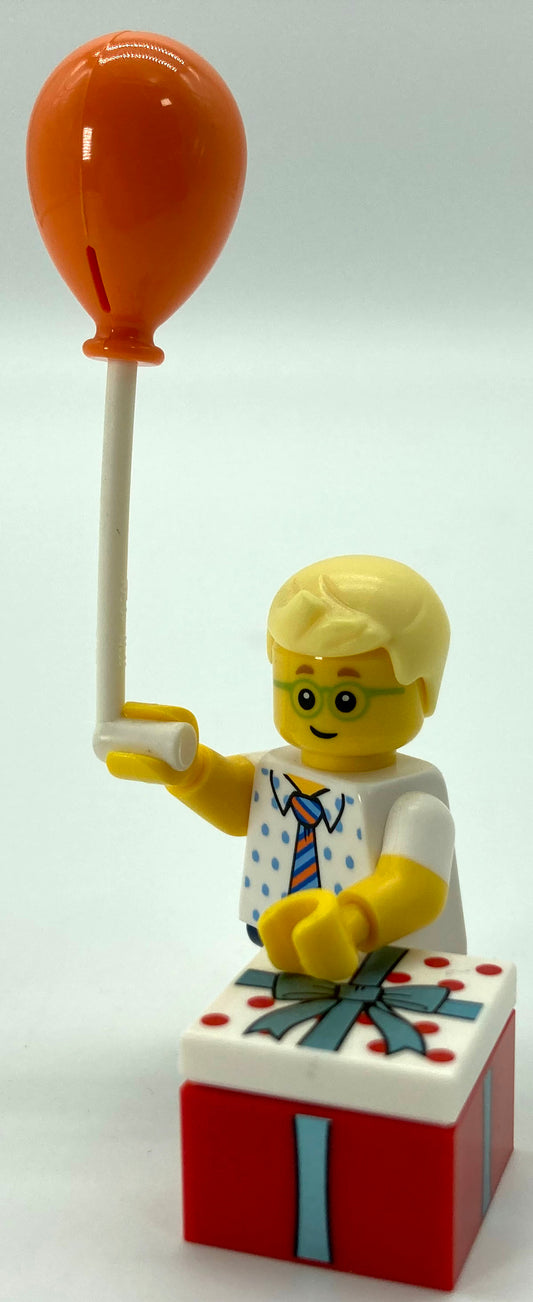 Series 18 - Birthday Party Boy