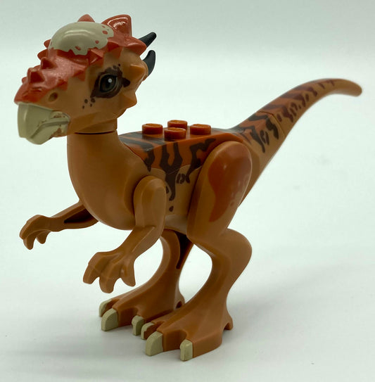 Stygimoloch with Dark Orange Back and Dark Brown Stripes Pattern