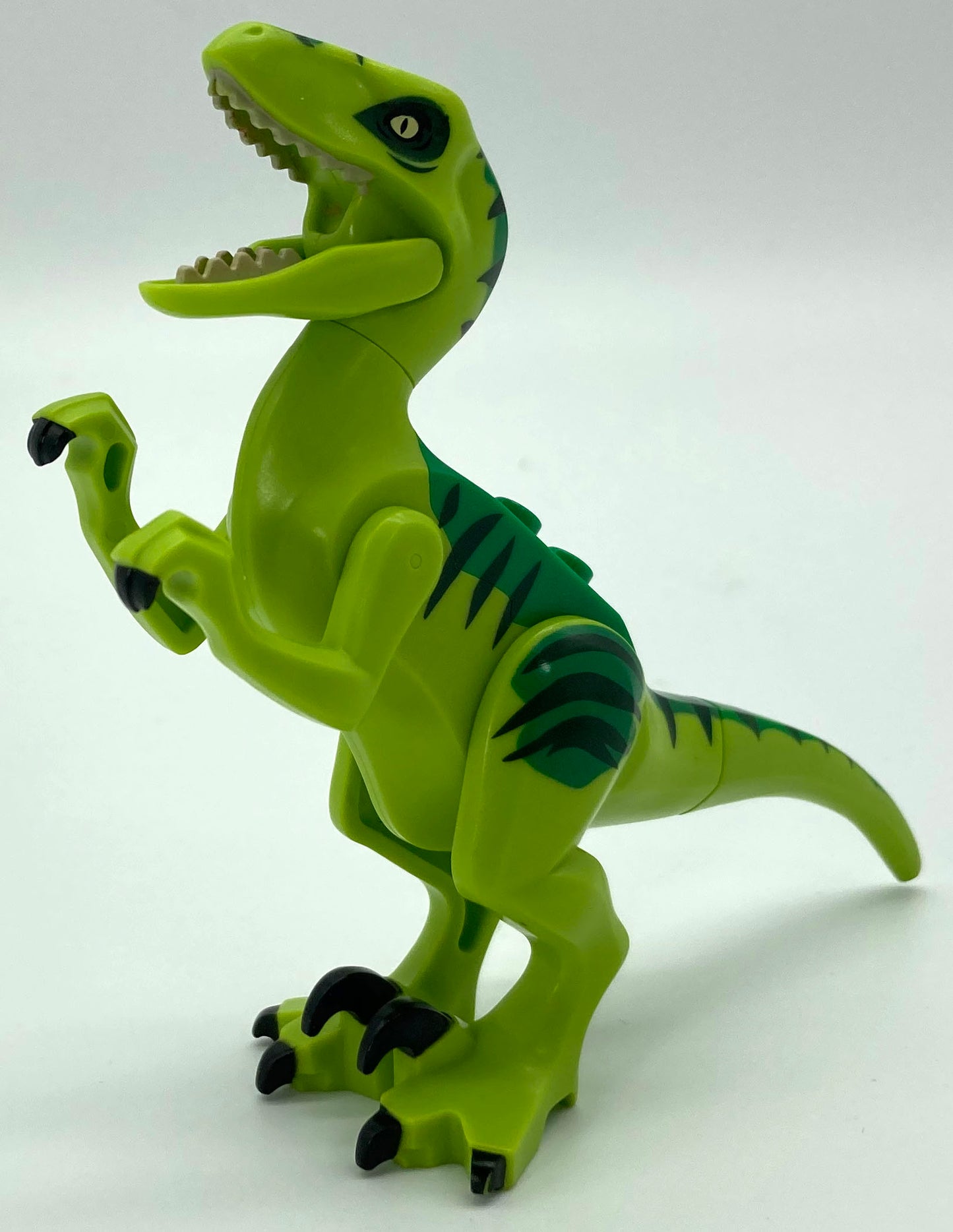 Raptor/Velociraptor with Green Back