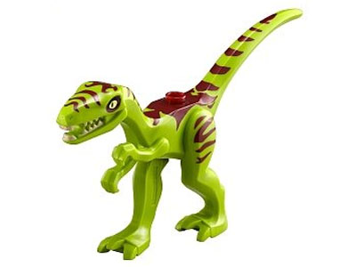 Coelophysis / Gallimimus