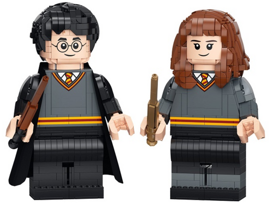 Used Set 76393 Harry Potter & Hermione Granger (No Instruction Manual or Box)