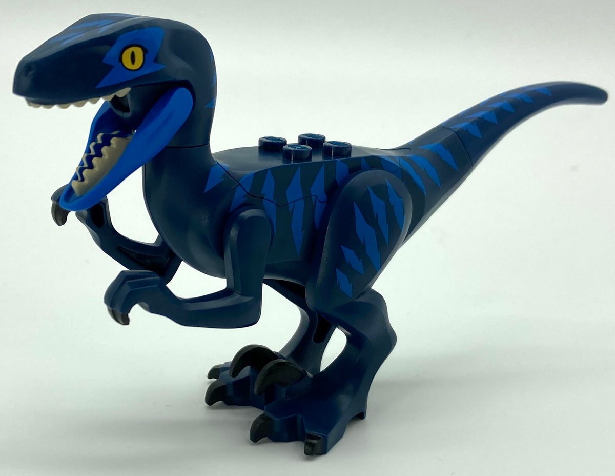 Raptor/Velociraptor with Blue Markings and Blue Eye Patch