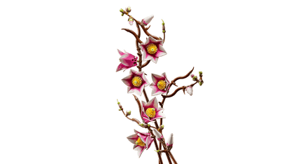 LEGO® 11510 Magnolia Branches