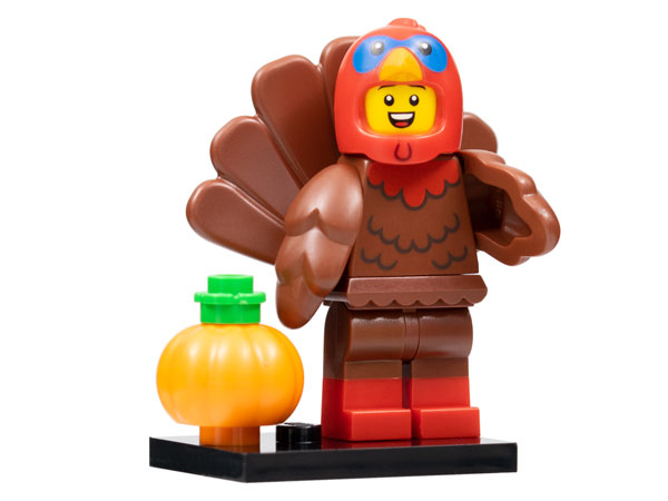 Series 23 - Turkey Costume
