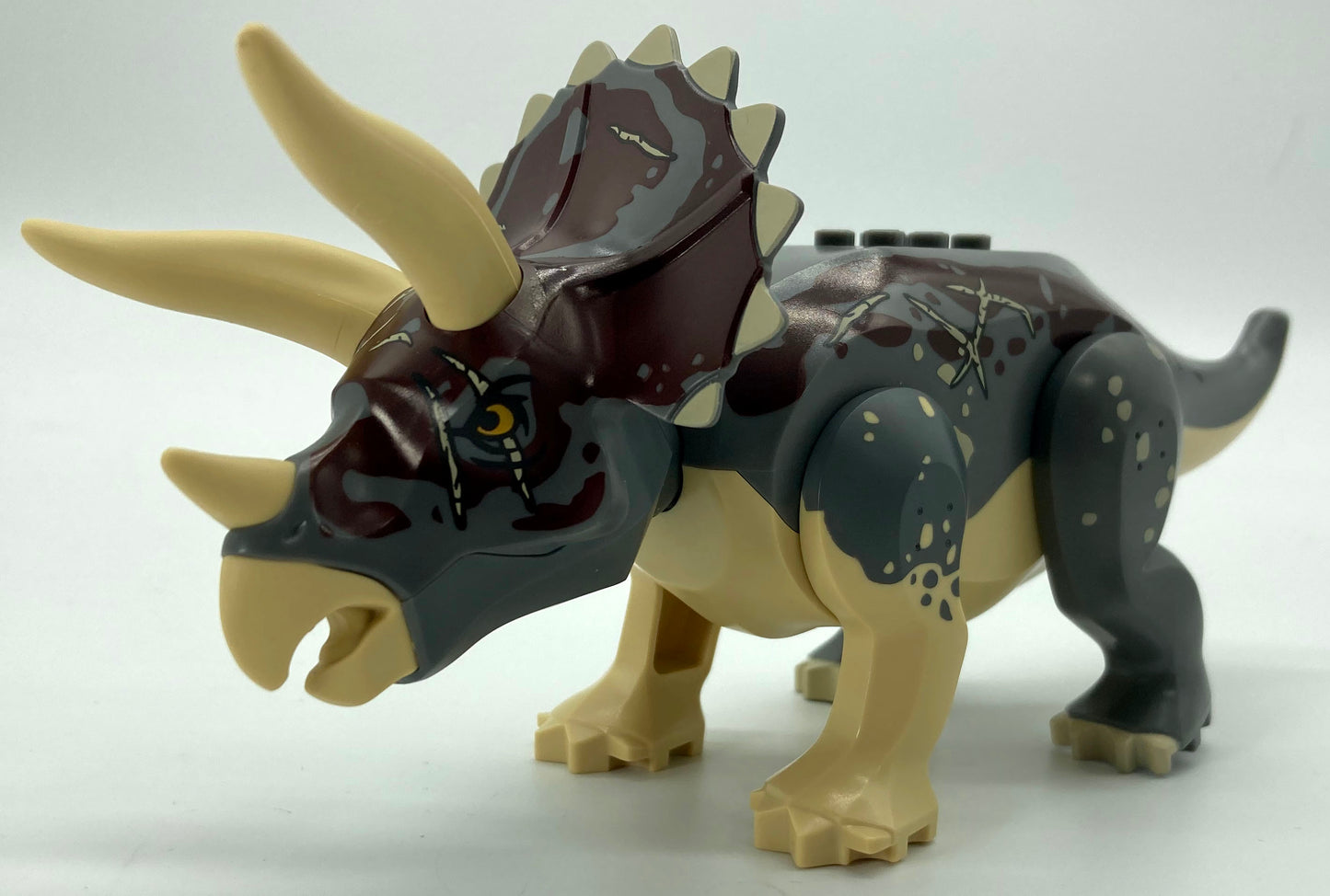 Triceratops with Dark Bluish Gray Back and Dark Red Markings