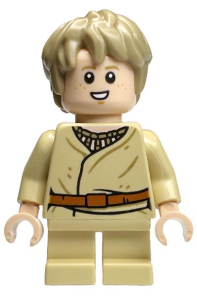 Anakin Skywalker - Short Legs, Thick Messy Hair