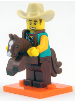 Series 18 - Cowboy Costume Guy